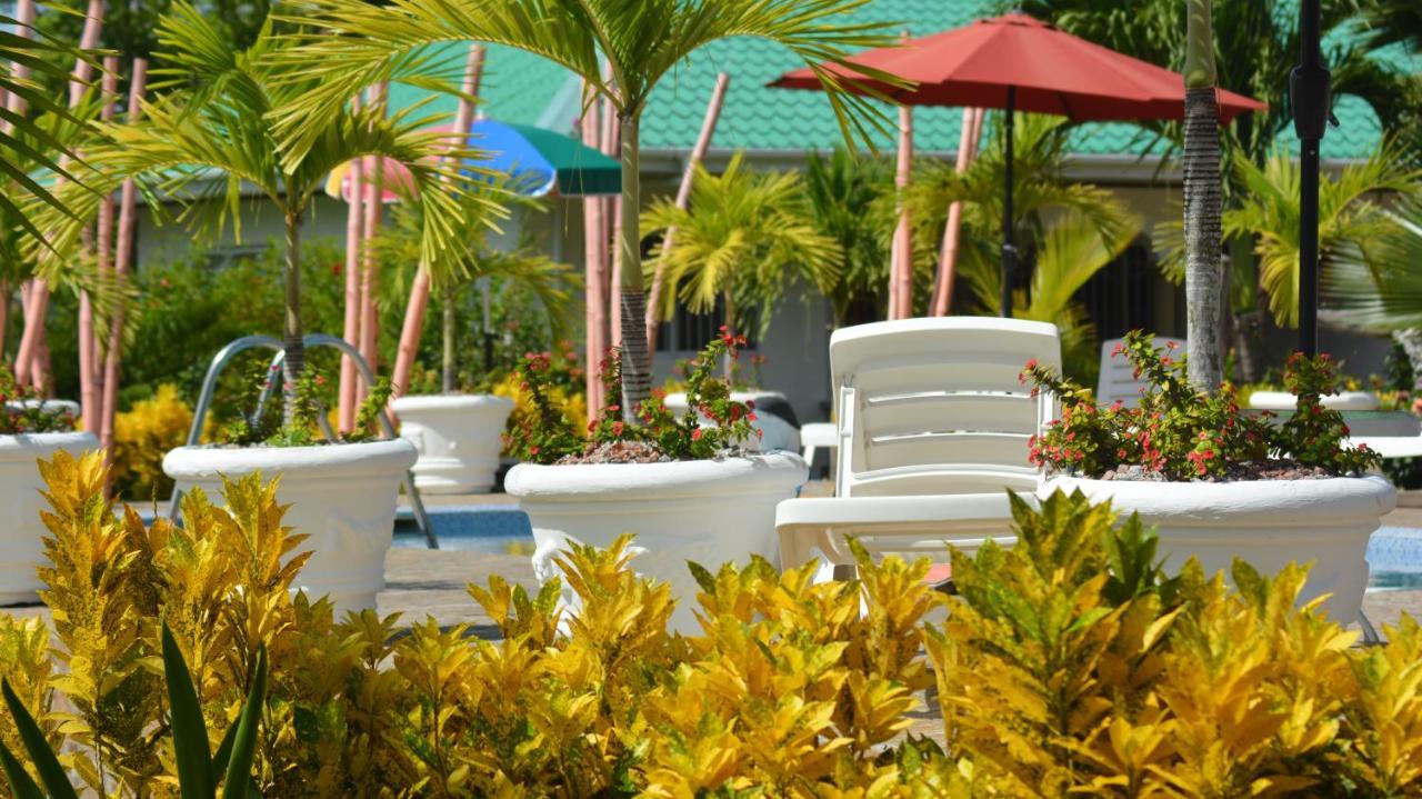 Belle Vacance Grand Anse  Luaran gambar